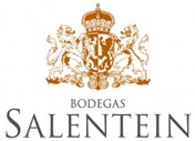 logo bodegas salentein